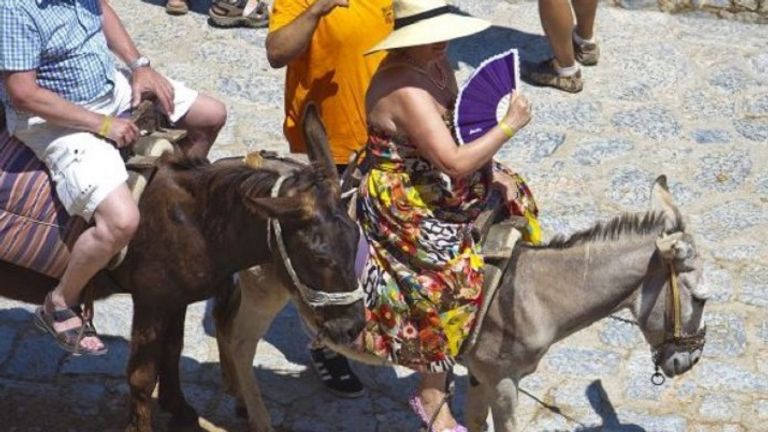 الحمير تعاني من أصحاب الوزن الزائد في اليونان