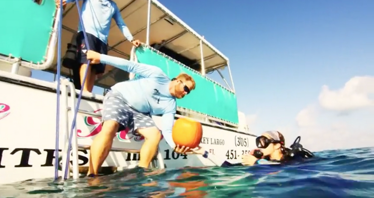 الهالوين في الأعماق