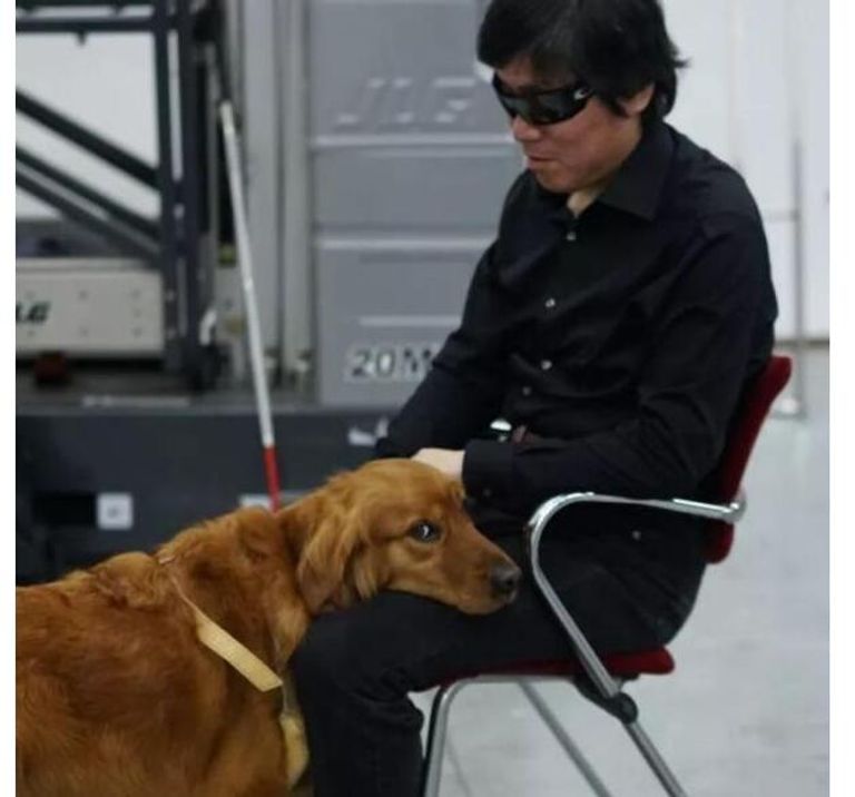 الكلاب المصاحبة للمكفوفين في الصين