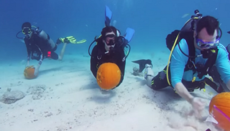 غواصون يتنافسون على نحت اليقطين تحت الماء في فلوريدا