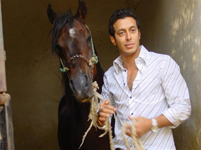 الممثل المصري مصطفى شعبان يشارك بمعرض "الفرس" المغربي - صورة 5