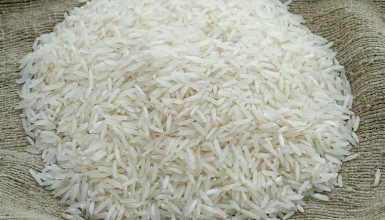 هيئة السلع التموينية المصرية تعلن بدء استيراد الأرز