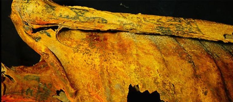 المومياء المحيرة للعلماء تتفرد بـ30 وشما