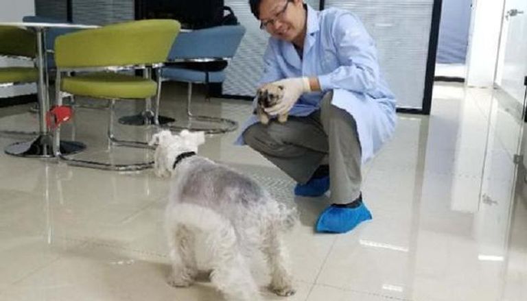 نجاح عملية استنساخ كلب من سلالة ألمانية في الصين