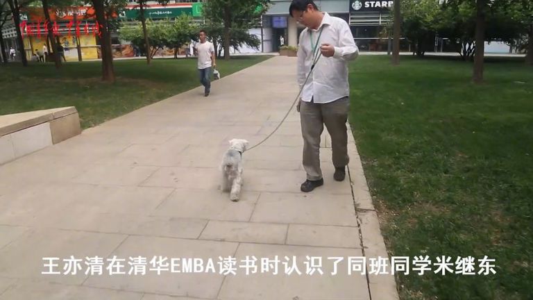 نجاح عملية استنساخ كلب من سلالة ألمانية في الصين