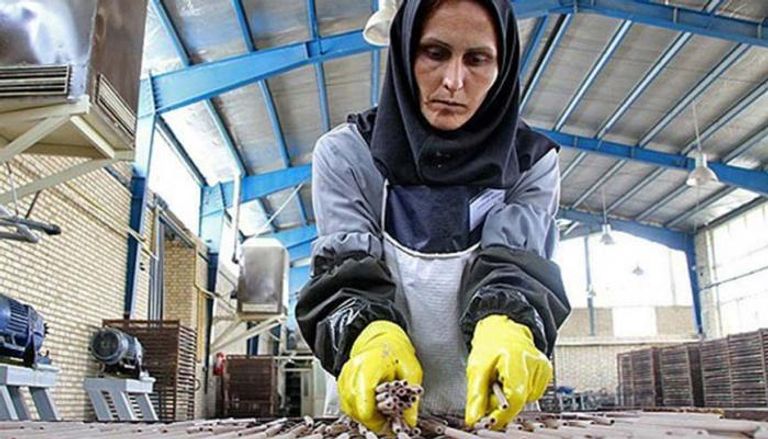 تزايد معدلات البطالة بين النسوة الإيرانيات