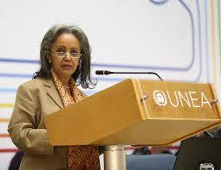 السفيرة سهلى ورق زودي 