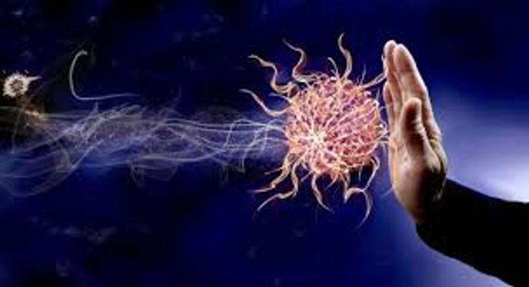 الوقاية من المرض مقر المركز الوطني لمكافحة السرطان في الجزائر