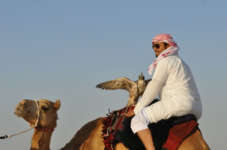 محمية المرزوم بأبوظبي