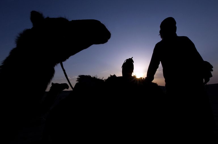 محمية المرزوم بأبوظبي