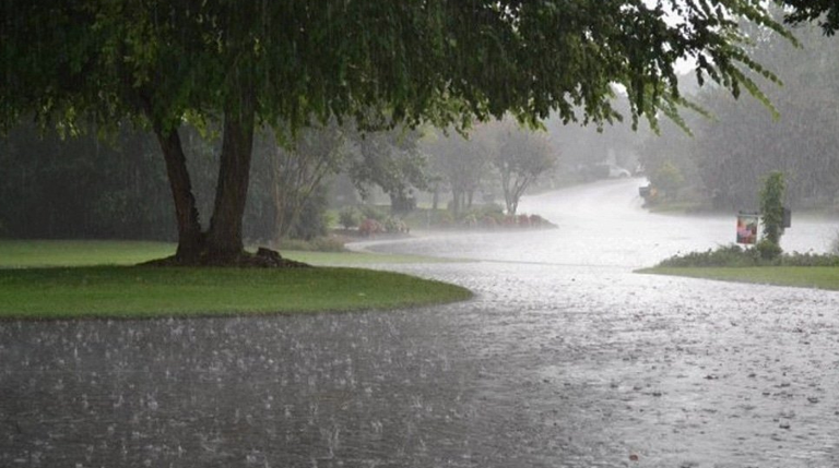 أمطار بإمارة دبي