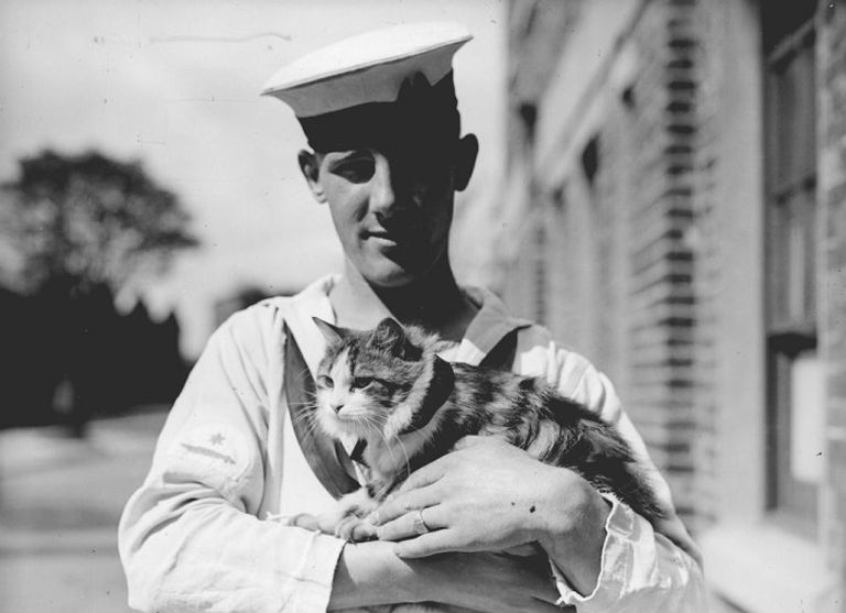 إدوارد بوركهارت يعثر على صديق جديد في آيوو جيما اليابان في فبراير 1945