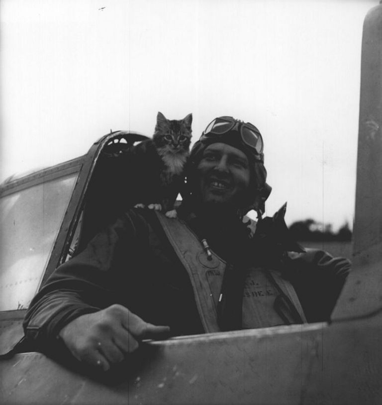 إدوارد بوركهارت يعثر على صديق جديد في آيوو جيما اليابان في فبراير 1945