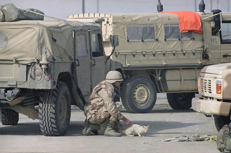 إدوارد بوركهارت يعثر على صديق جديد في آيوو جيما اليابان في فبراير 1945