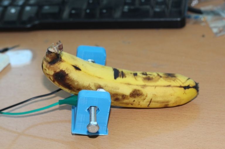 اختبار يجرى على ثمرة الموز الجهاز يختبر نسبة المياه في ثمرة الخيار