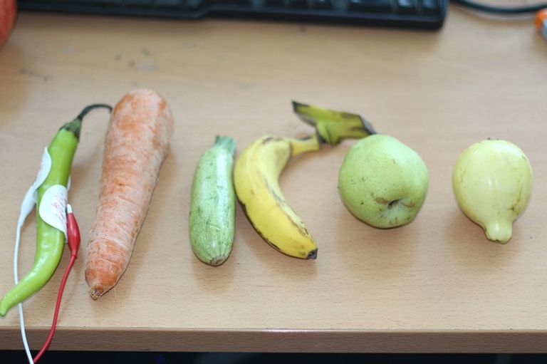 اختبار يجرى على مجموعة من الخضروات والفواكه الجهاز يختبر نسبة المياه في ثمرة الخيار