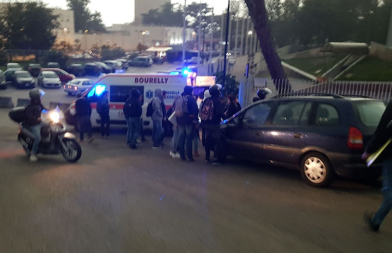 الطقس السيئ يقتلع شجرة - صورة أرشيفية