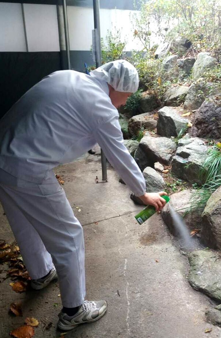 الإرهاق في العمل قد يؤدي للموت في كوريا الجنوبية