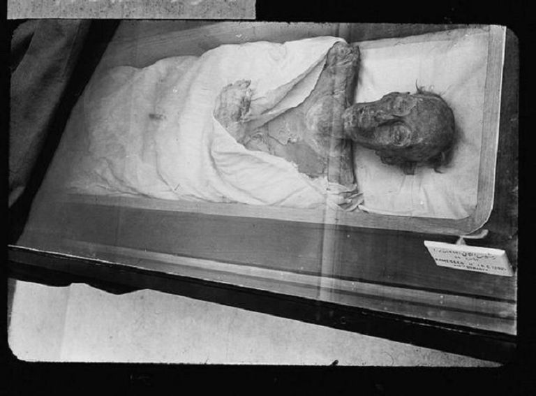 جواز سفر رمسيس الثاني - صورة أرشيفية