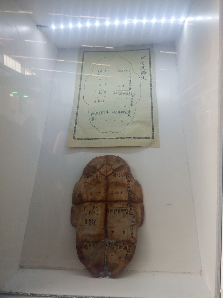 الجناح الصيني في معرض الجزائر الدولي للكتاب