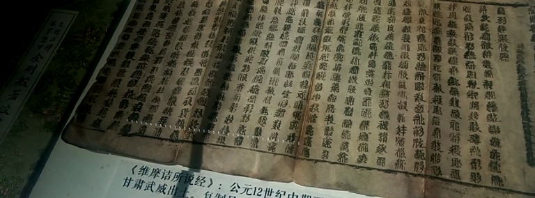 "تعويذة فيمالاكيرتي البوذية"