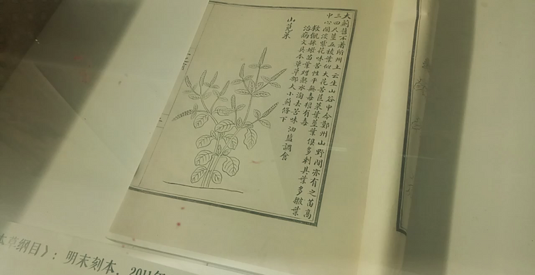 خلاصة المواد الطبية