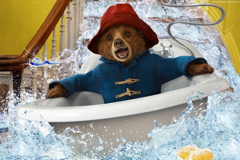 الدب "بادينجتون" يعود بجزء 3 - صورة أرشيفية