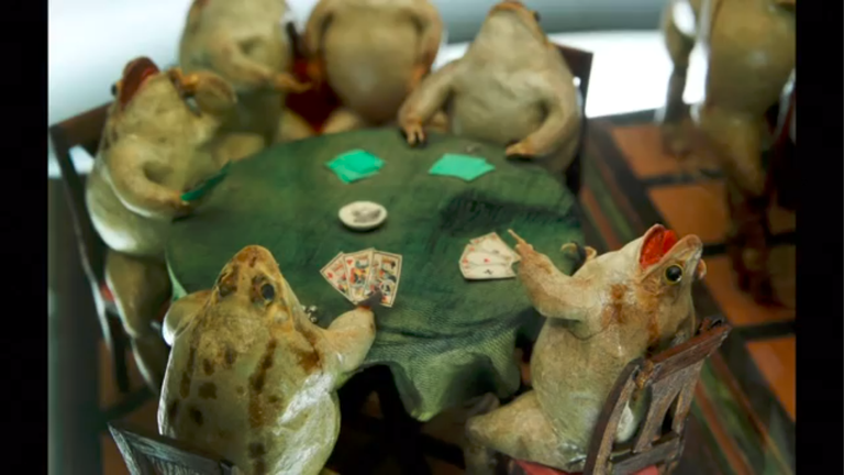 متحف الضفادع في بلدة سويسرية - صورة أرشيفية