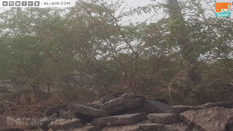 الحوثيون يلجأون إلى خدعة الخنادق الملغومة في الحديدة