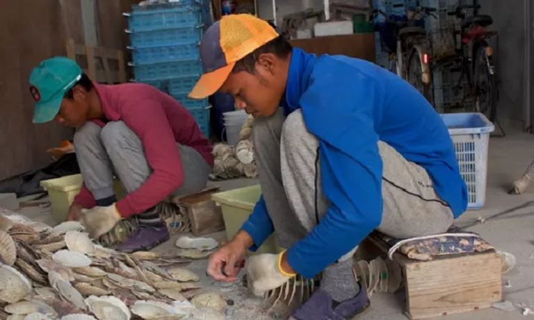 نقص العمالة يفتح الباب أمام استقبال المهاجرين - أرشيفية