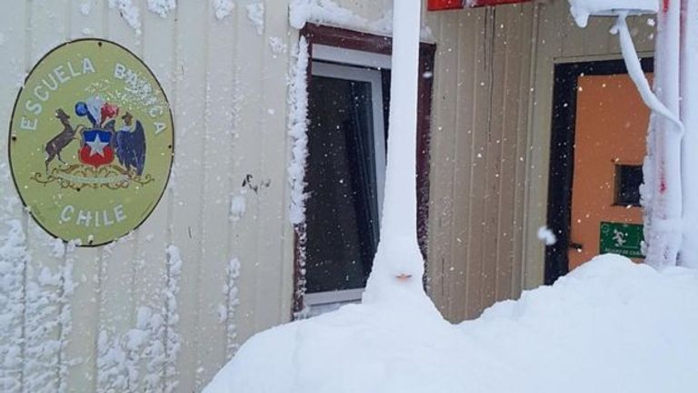 ملامح من الحياة في القارة القطبية الجنوبية "أنتارتيكا" - صورة أرشيفية