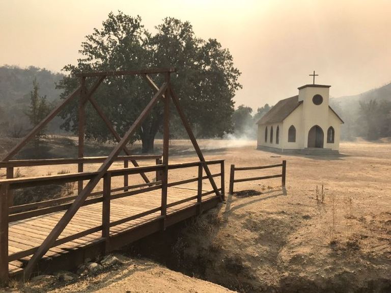 ساندرا بولوك في أحد مشاهد فيلم بيرد بوكس