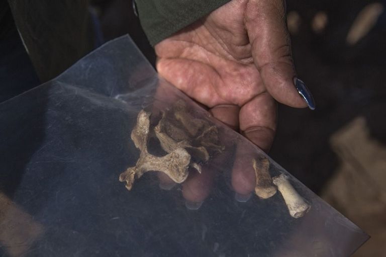 الأمهات في المكسيك يتولين مهمة البحث عن المفقودين