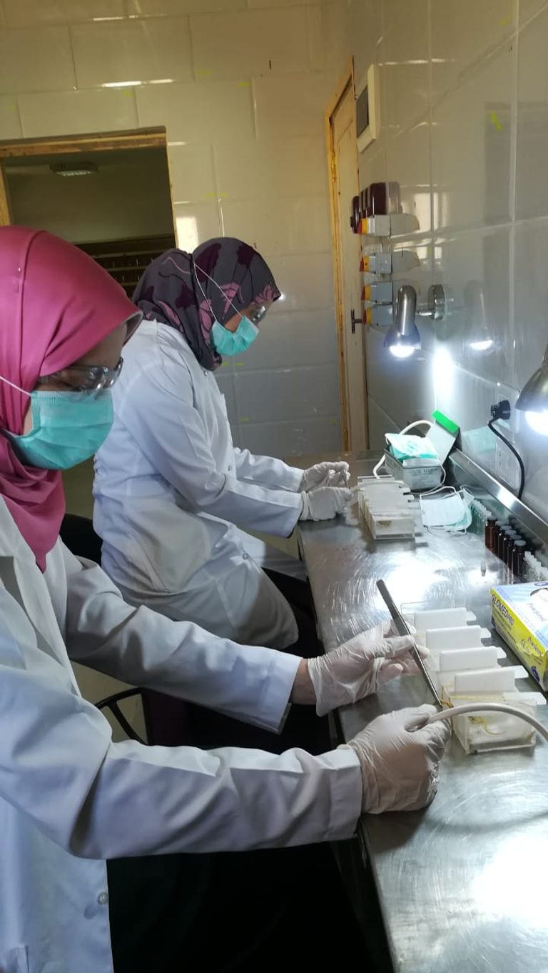 عملية استخراج السم بالذبذبات الكهربائية ماسك العقرب يوفر صيدا آمنا له