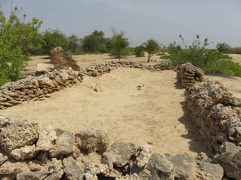 محمية صير بني ياس في أبوظبي