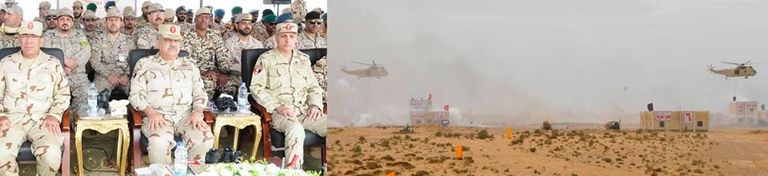 جانب من القوات المشاركة في المناورة