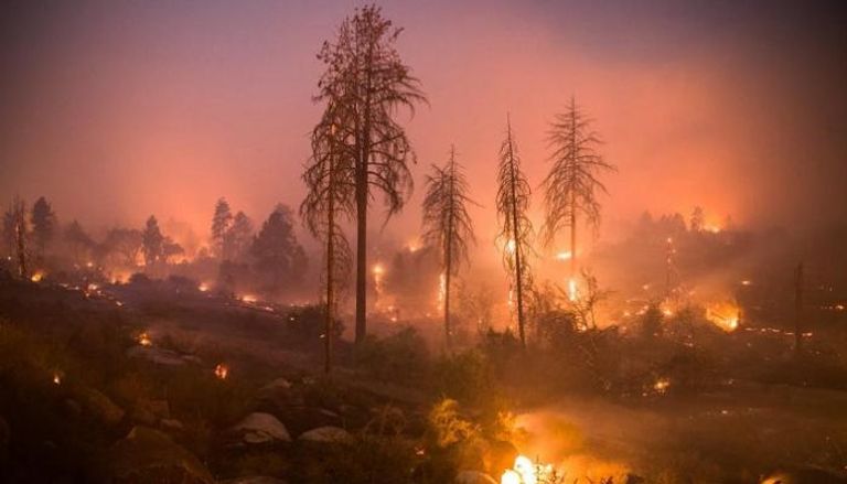 حرائق الغابات تجتاح كاليفورنيا