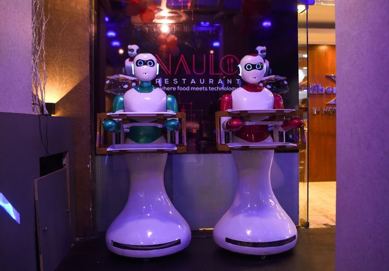 الروبوت "جينجر" يباشر عمله