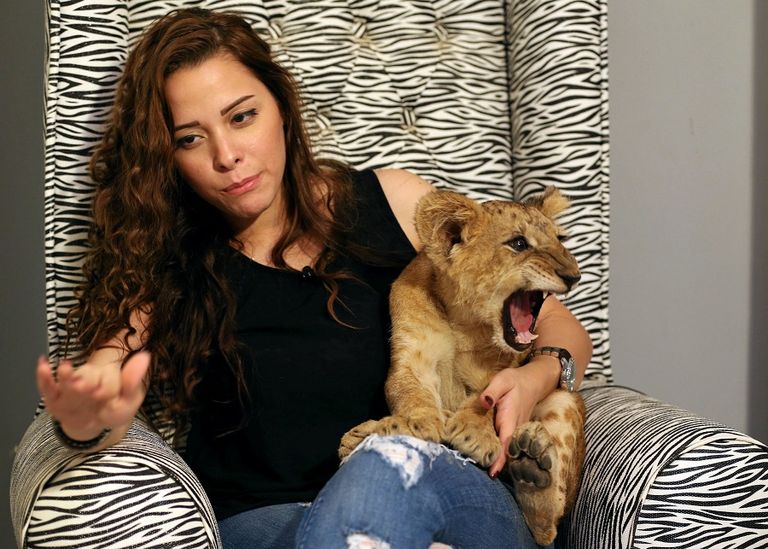 أسد وشبل في بيئتهم الطبيعية