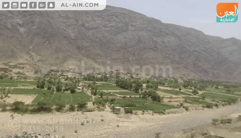 آثار الانتهاكات الحوثية واضحة على الزراعة في محافظة البيضاء