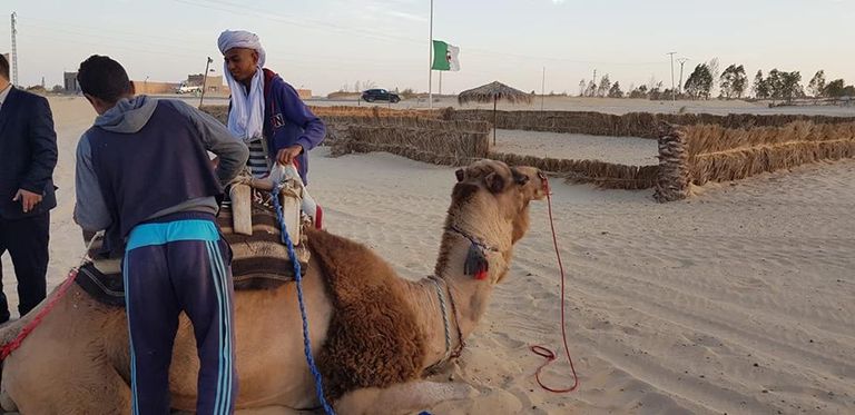 مدينة وادي سوف الجزائرية احتفالات المولد النبوي في الجزائر