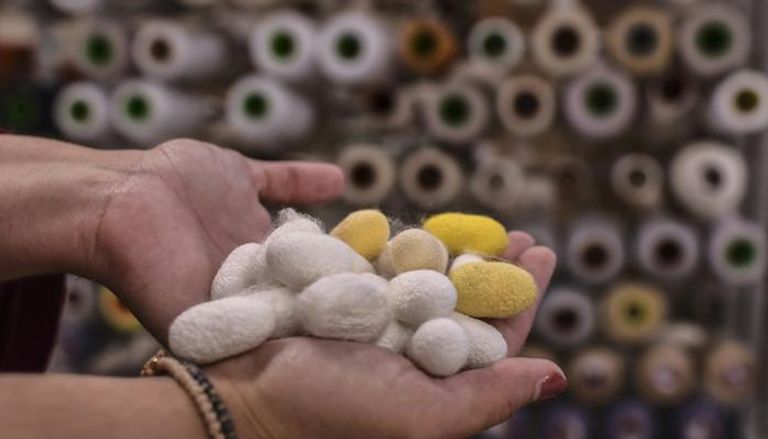 صناعة الحرير الطبيعي في مدينة سوفلي اليونانية