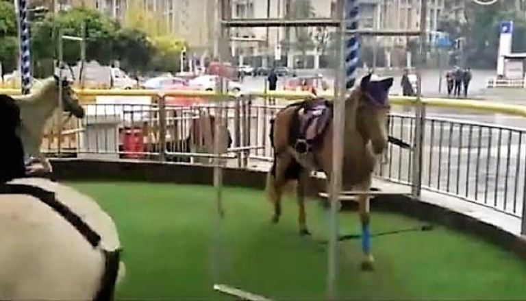 غضب في الصين بعد استخدام خيول حقيقية في لعبة ملاهي