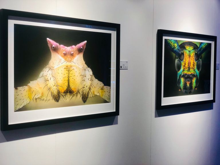 المصور الإماراتي يوسف الحبشي