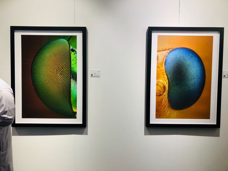 المصور الإماراتي يوسف الحبشي