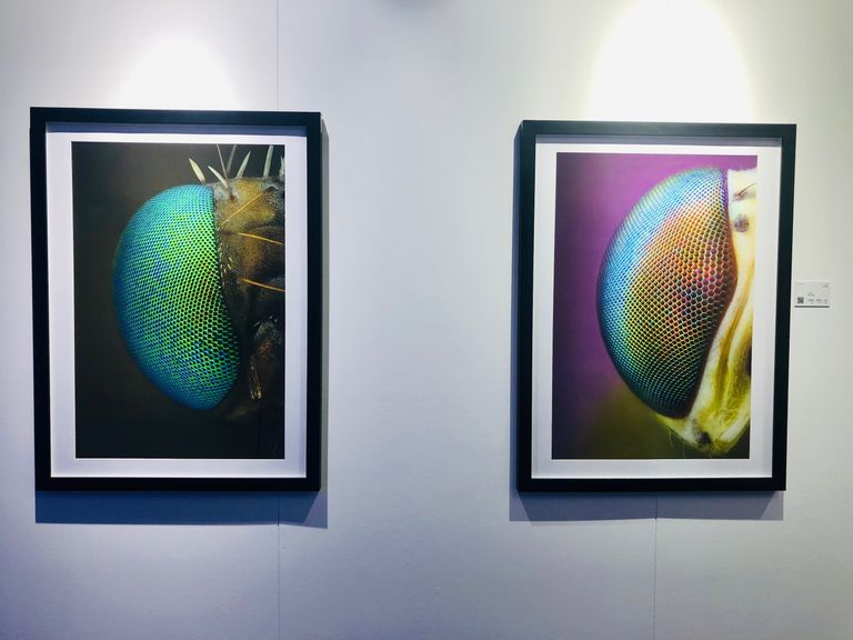 المصور الإماراتي يوسف الحبشي