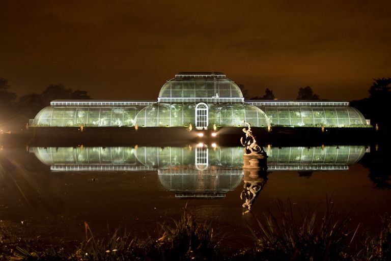 حدائق بريطانيا تتزين بالمصابيح استعدادا لاحتفالات عيد الميلاد