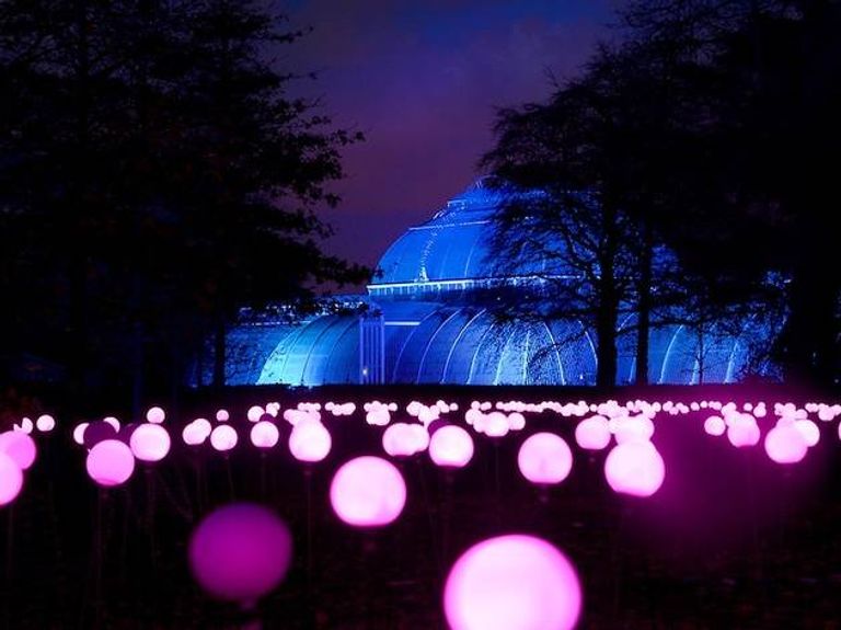 حدائق بريطانيا تتزين بالمصابيح استعدادا لاحتفالات عيد الميلاد
