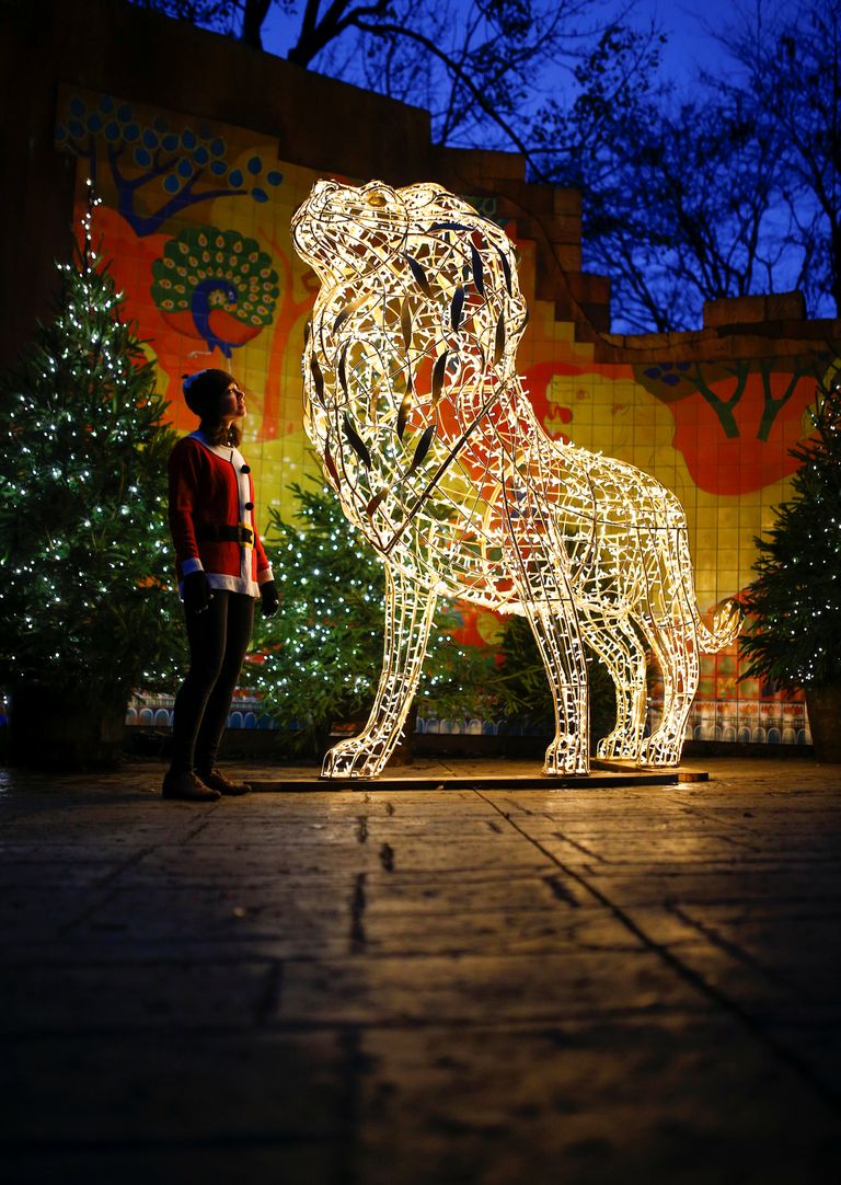 حديقة حيوان لندن تتألق بنماذج مضيئة لحيوانات استعدادا لعيد الميلاد