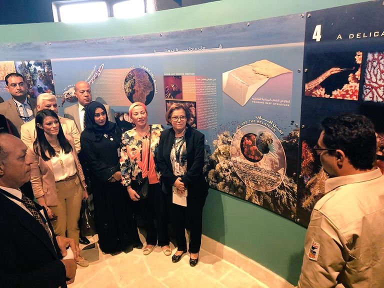 محمية رأس محمد توفر خدمات عالمية